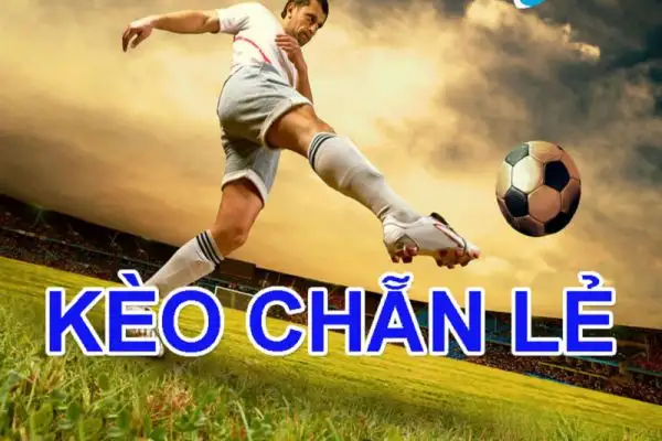 Tìm hiểu về kèo cược chẵn lẻ bàn thắng trong cá độ bóng đá