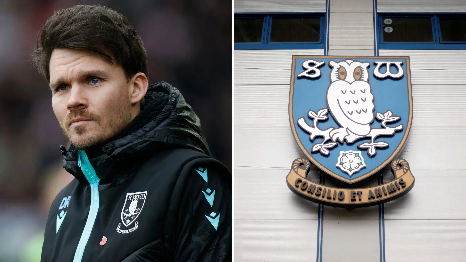 HLV Danny Rohl của Sheffield Wednesday