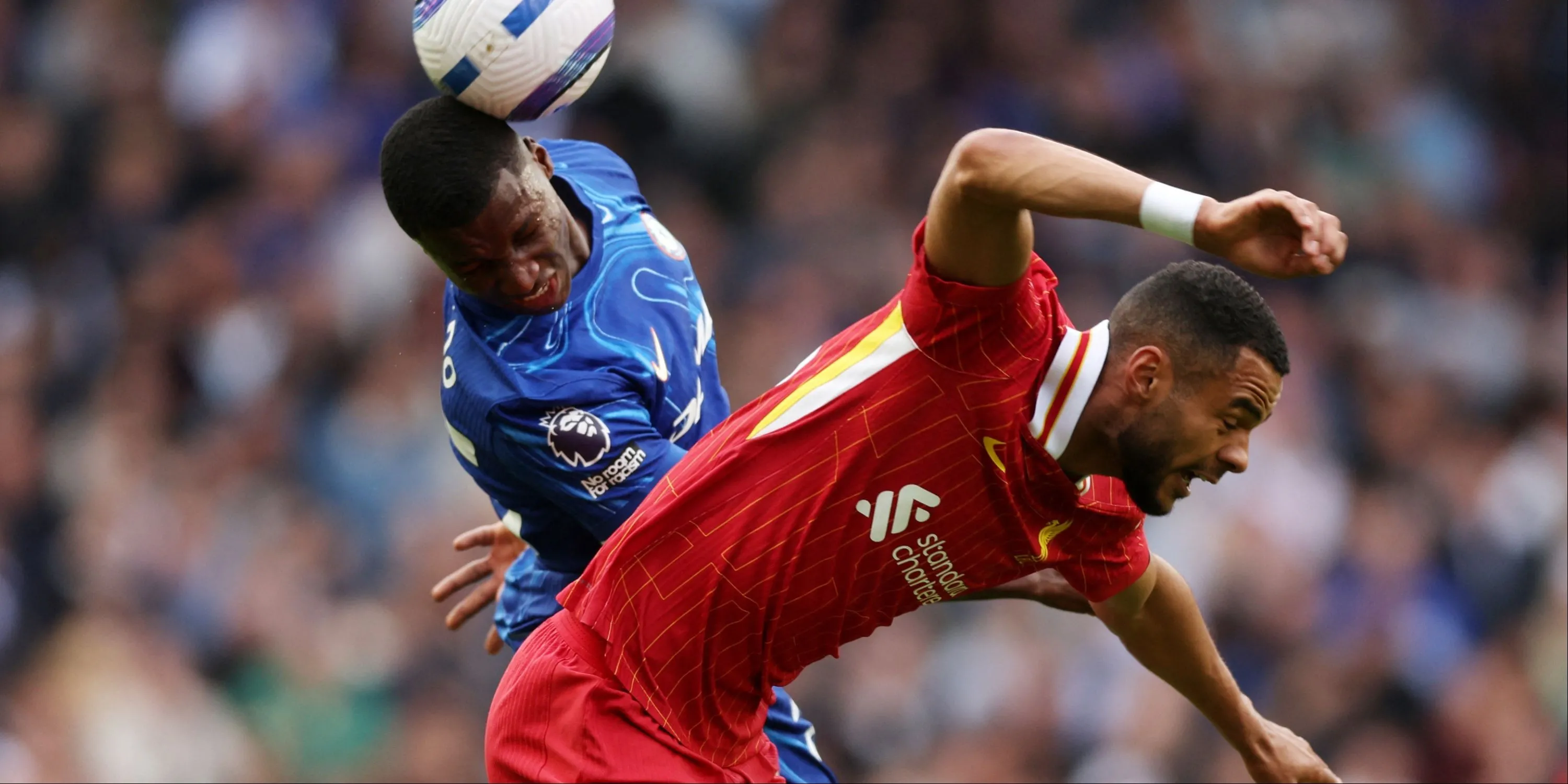 Moises Caicedo của Chelsea tranh chấp bóng với Cody Gakpo của Liverpool