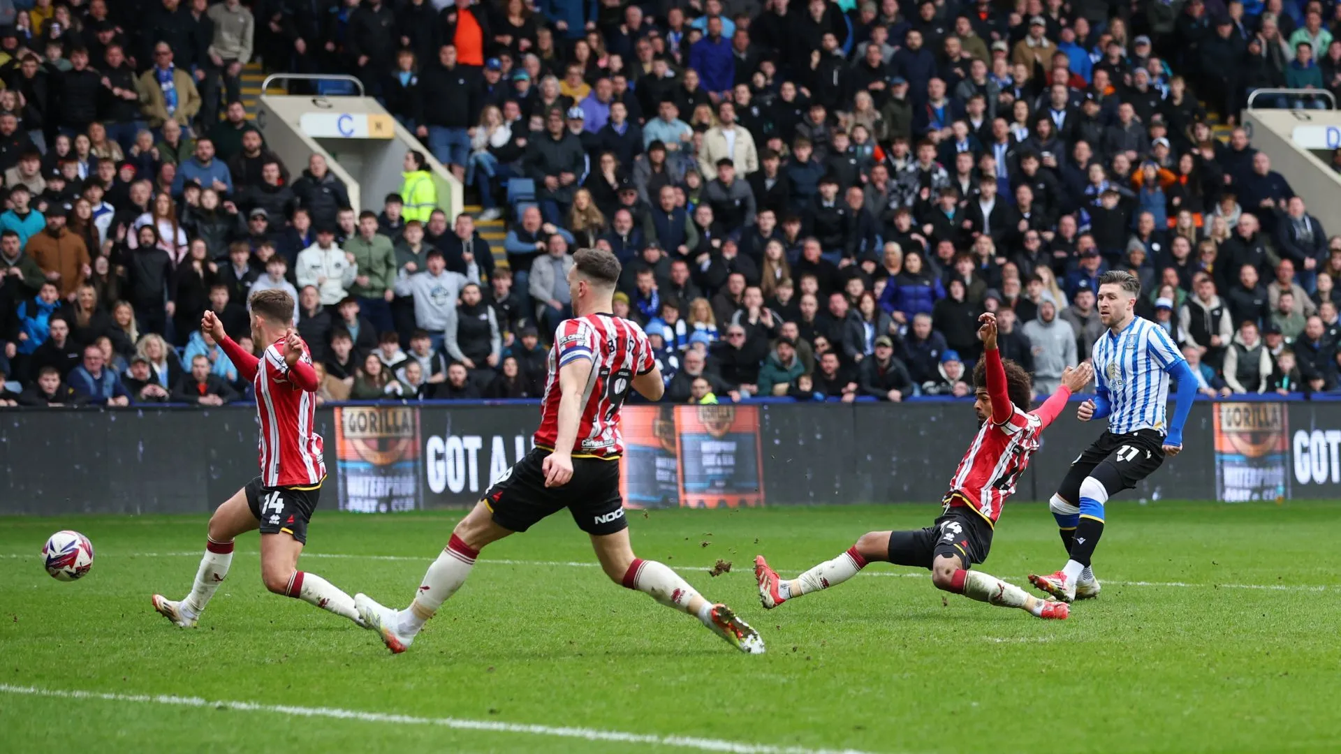 Tiền đạo Josh Windass ăn mừng bàn thắng quyết định cho Sheffield Wednesday